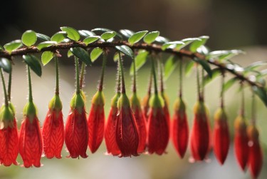 南京鼓楼区6零用贷短借：轻松解决临时资金需求